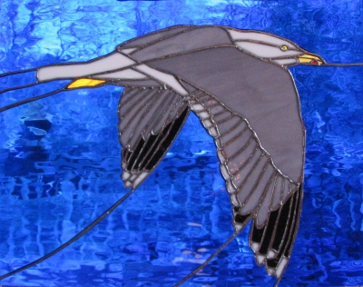 seagull window
