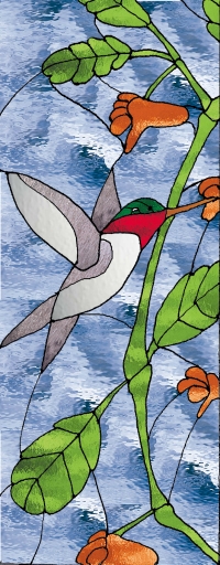 hummingbird window