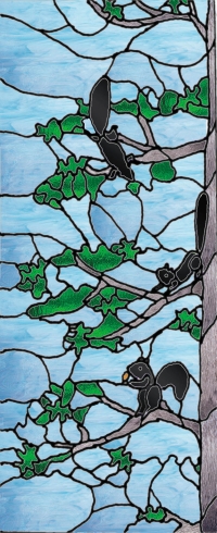squirrel window